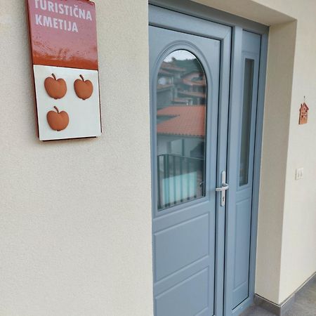 Apartmaji Aucin - Brda Kojsko Zewnętrze zdjęcie