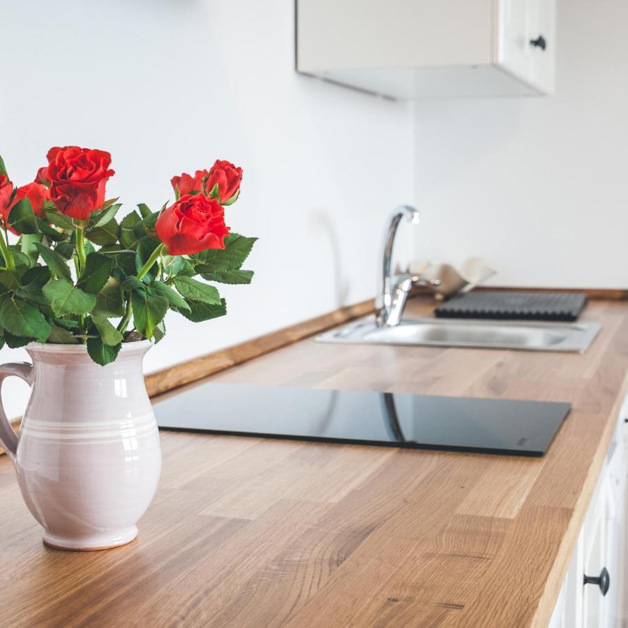 Apartmaji Aucin - Brda Kojsko Zewnętrze zdjęcie